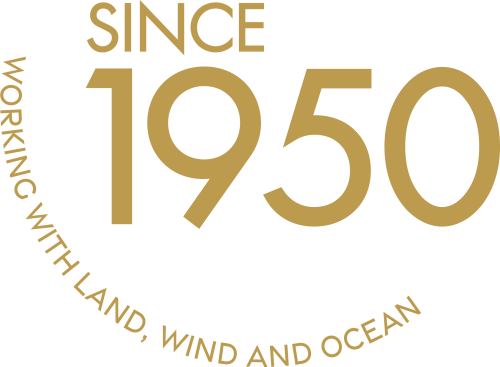Since 1950 logo